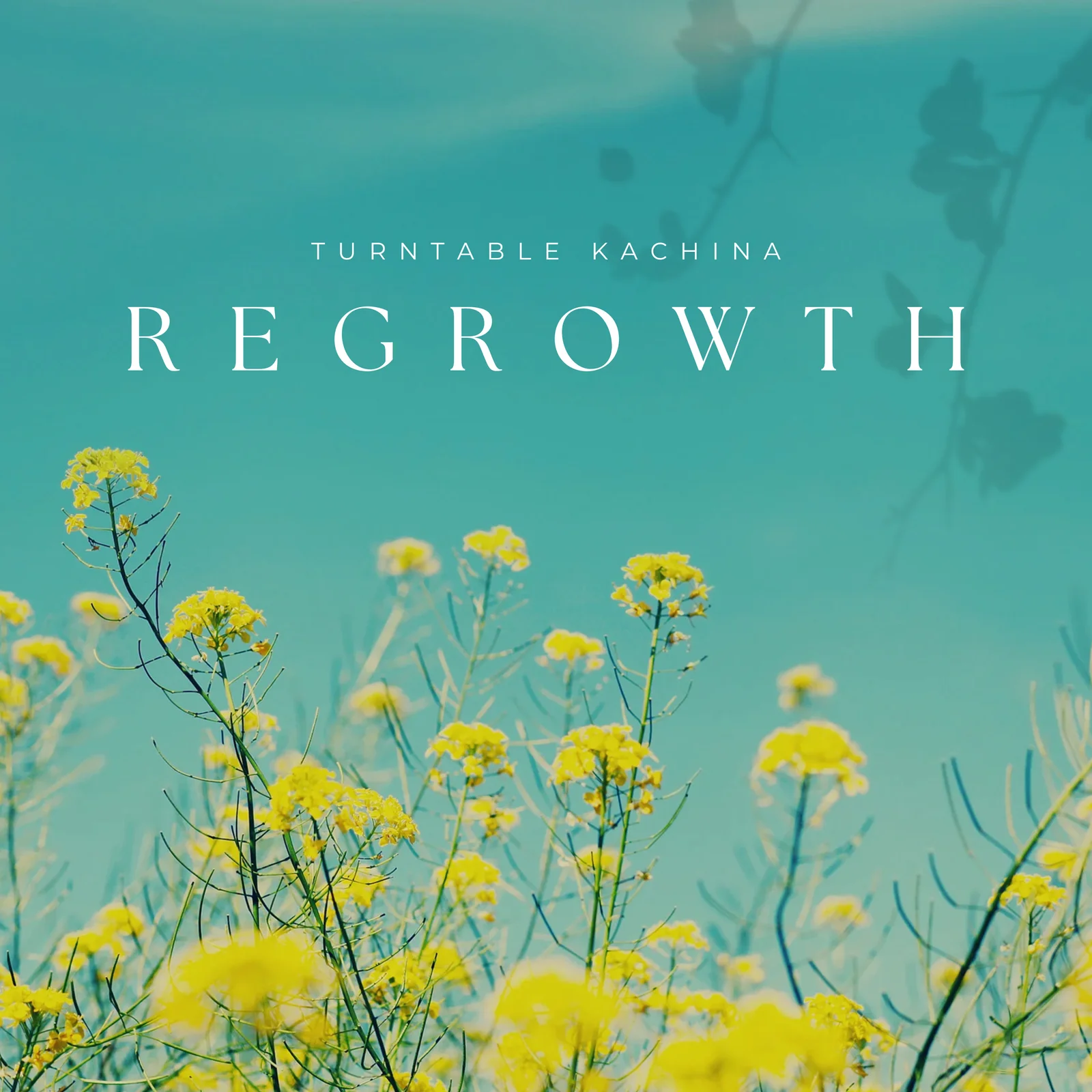 Regrowth artwork