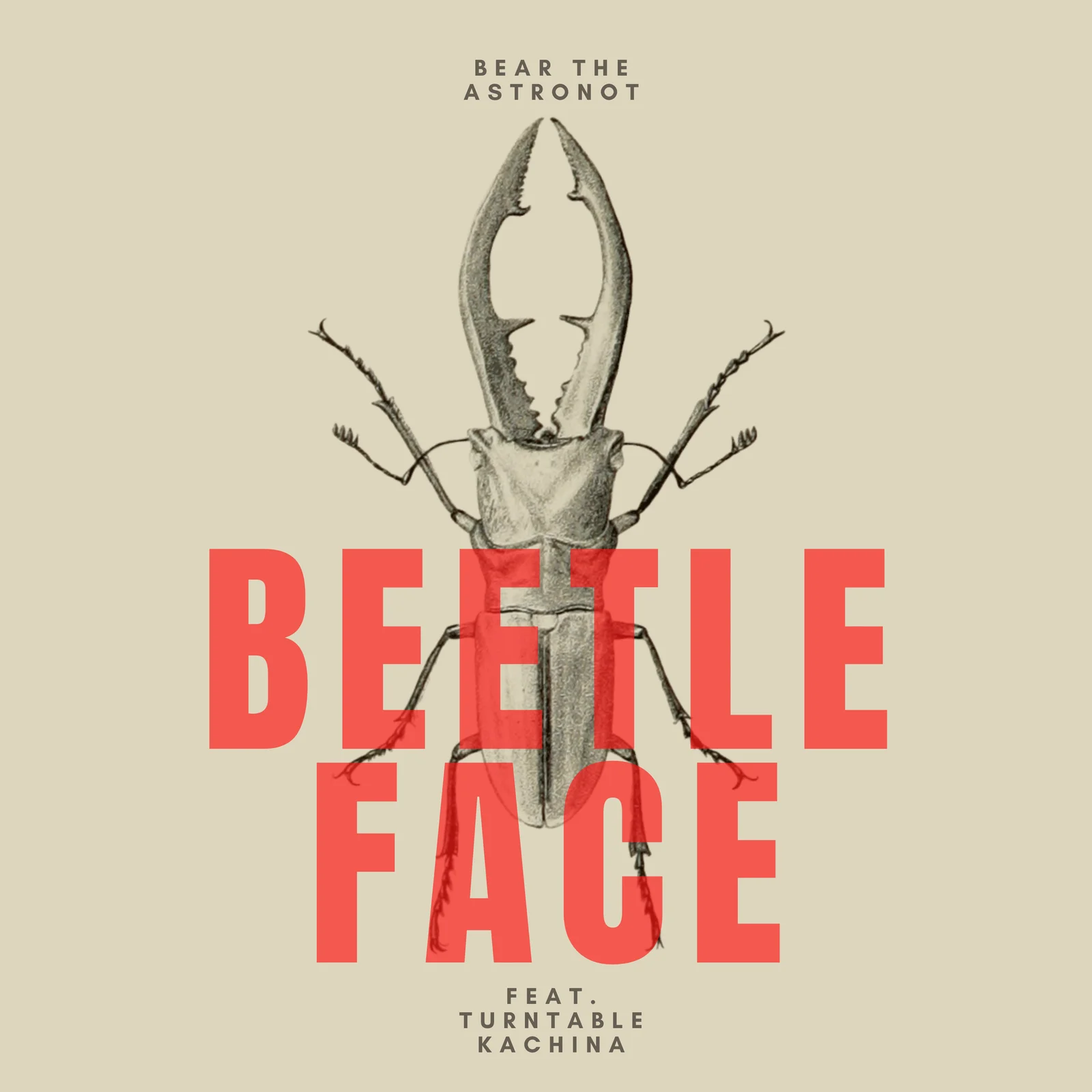 BEETLE FACE artwork
