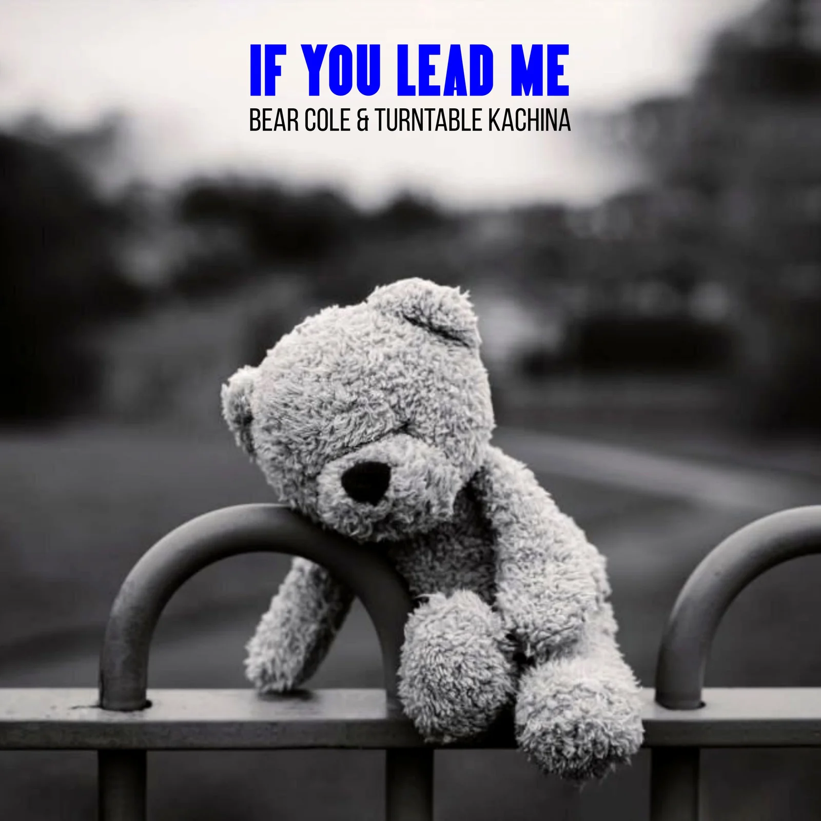 If You Lead Me cover artwork
