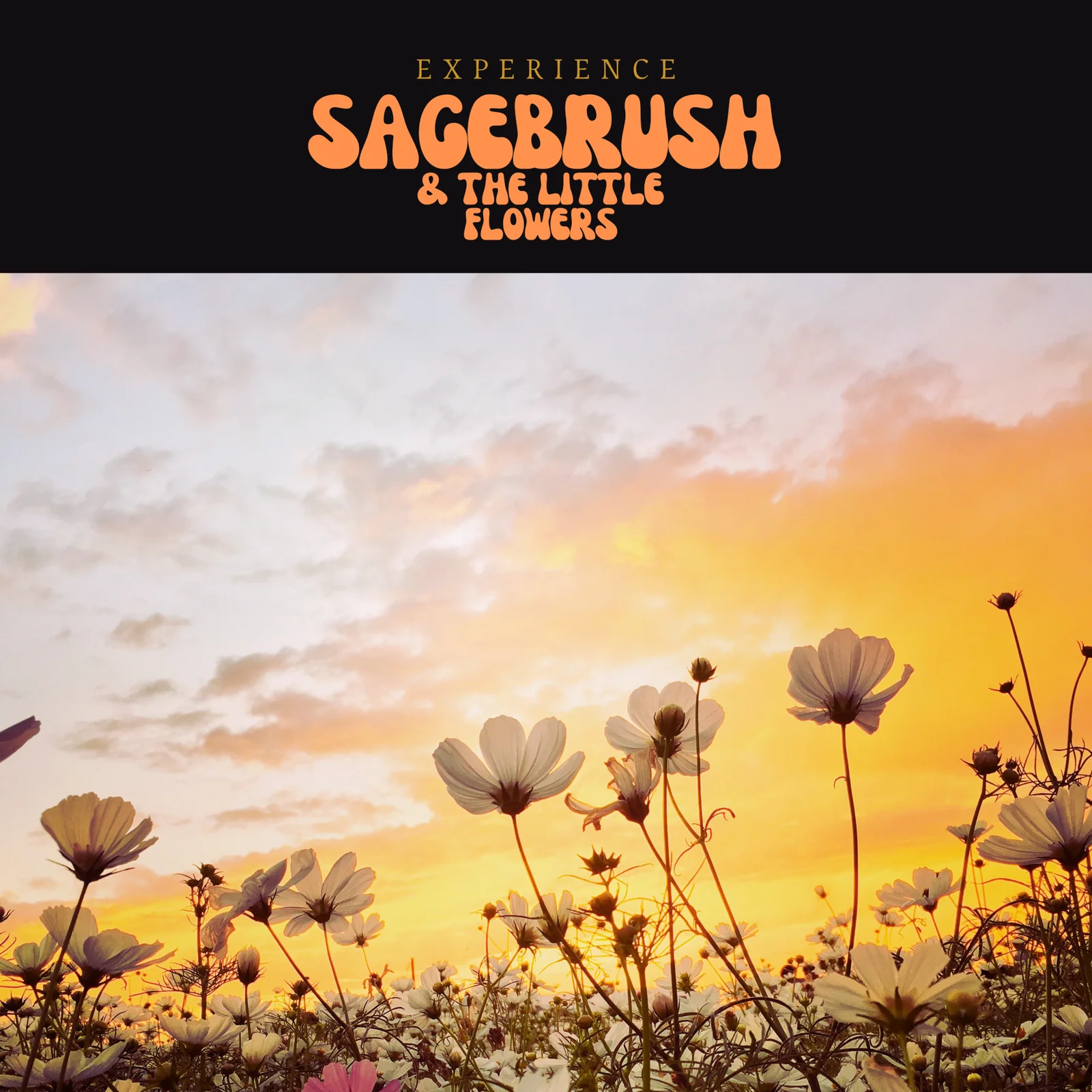 Experience Sagebrush & The Little Flowers playlist artwork