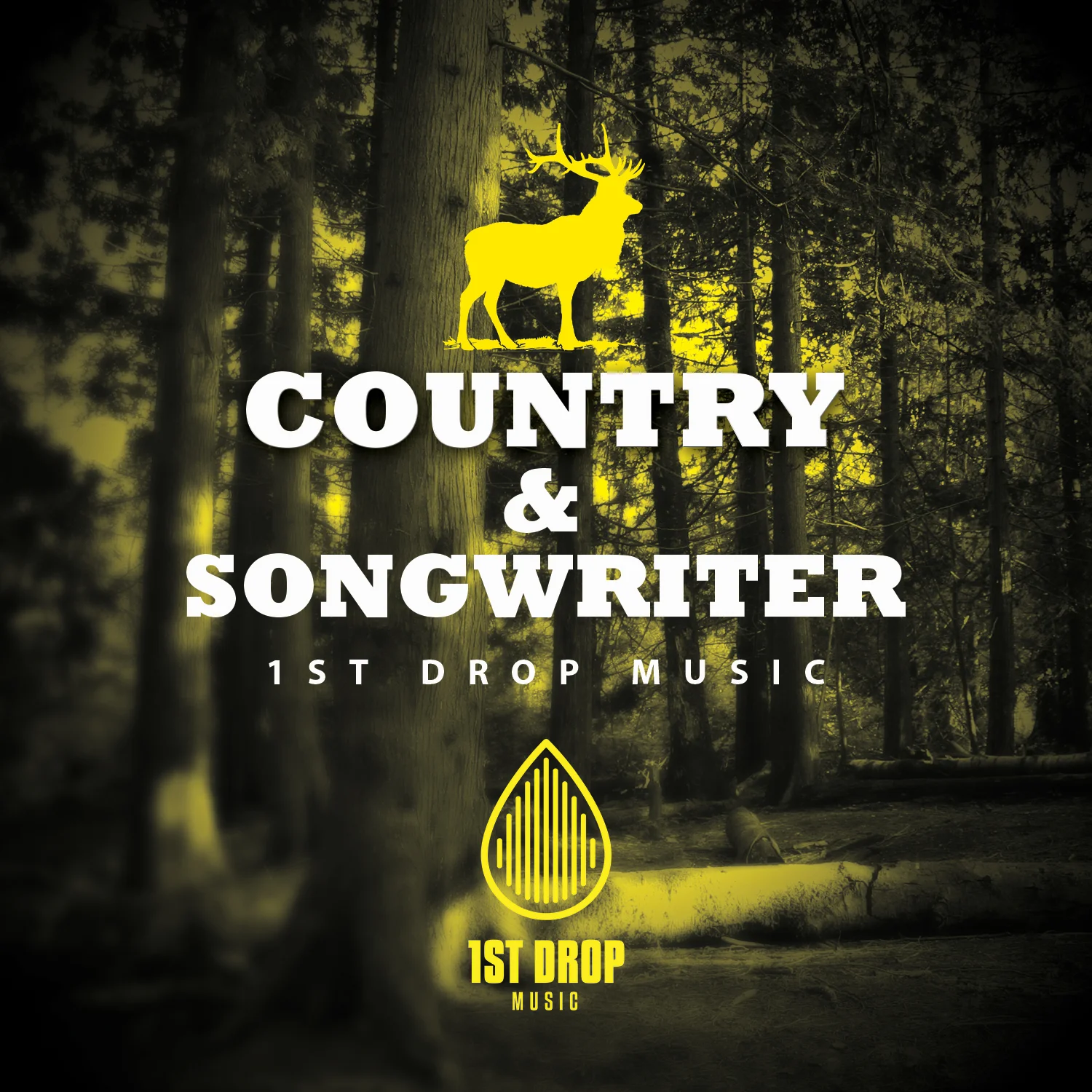 1st Drop Music Country & Songwriter