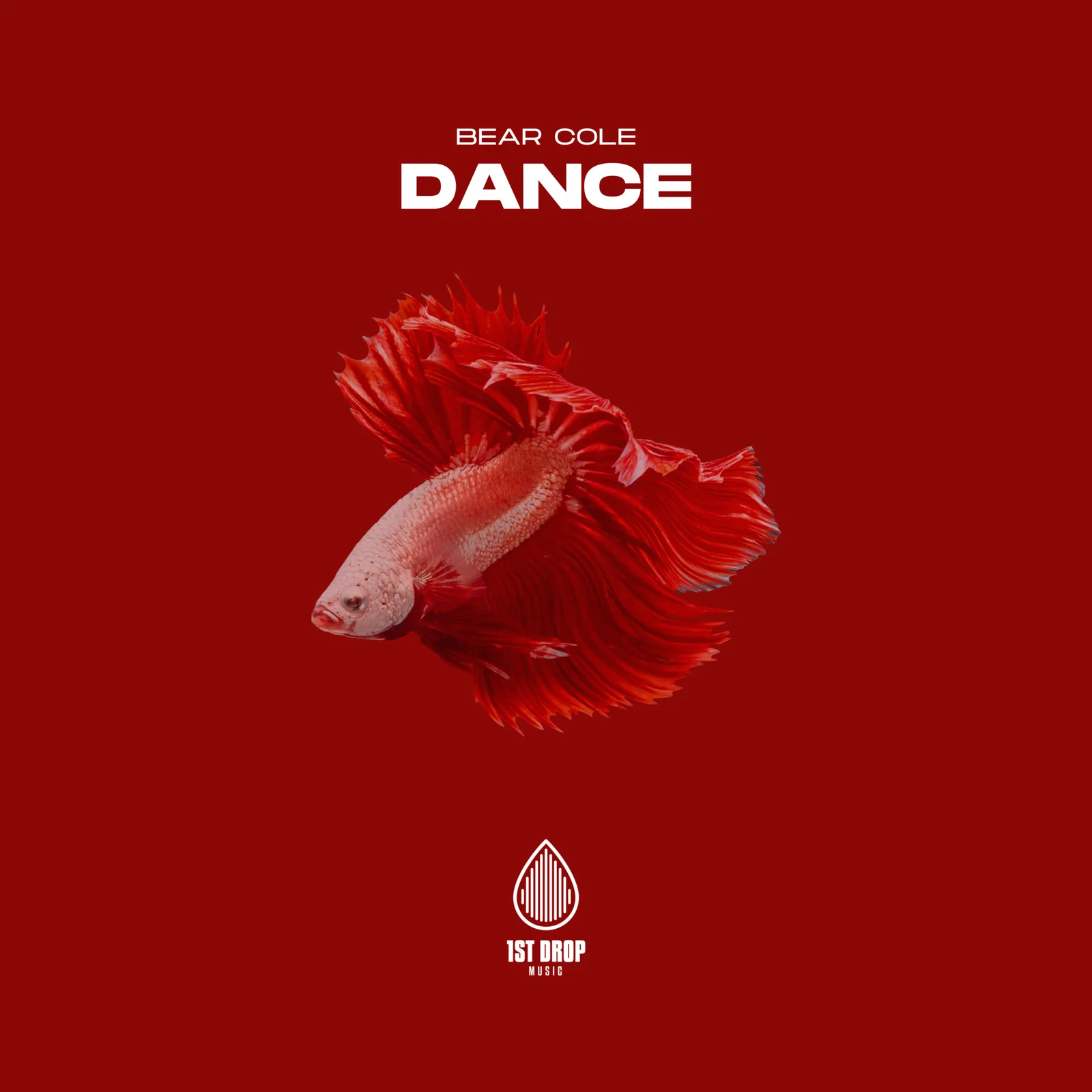 Bear Cole Dance