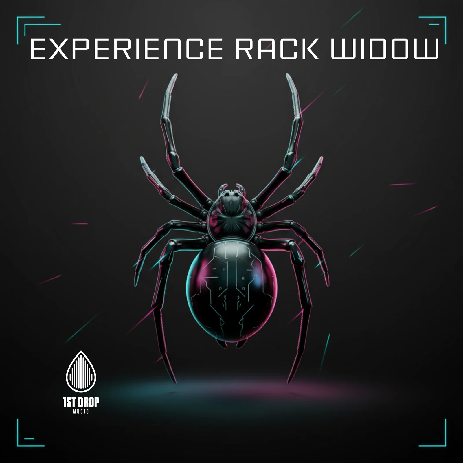 Experience RACK WIDOW