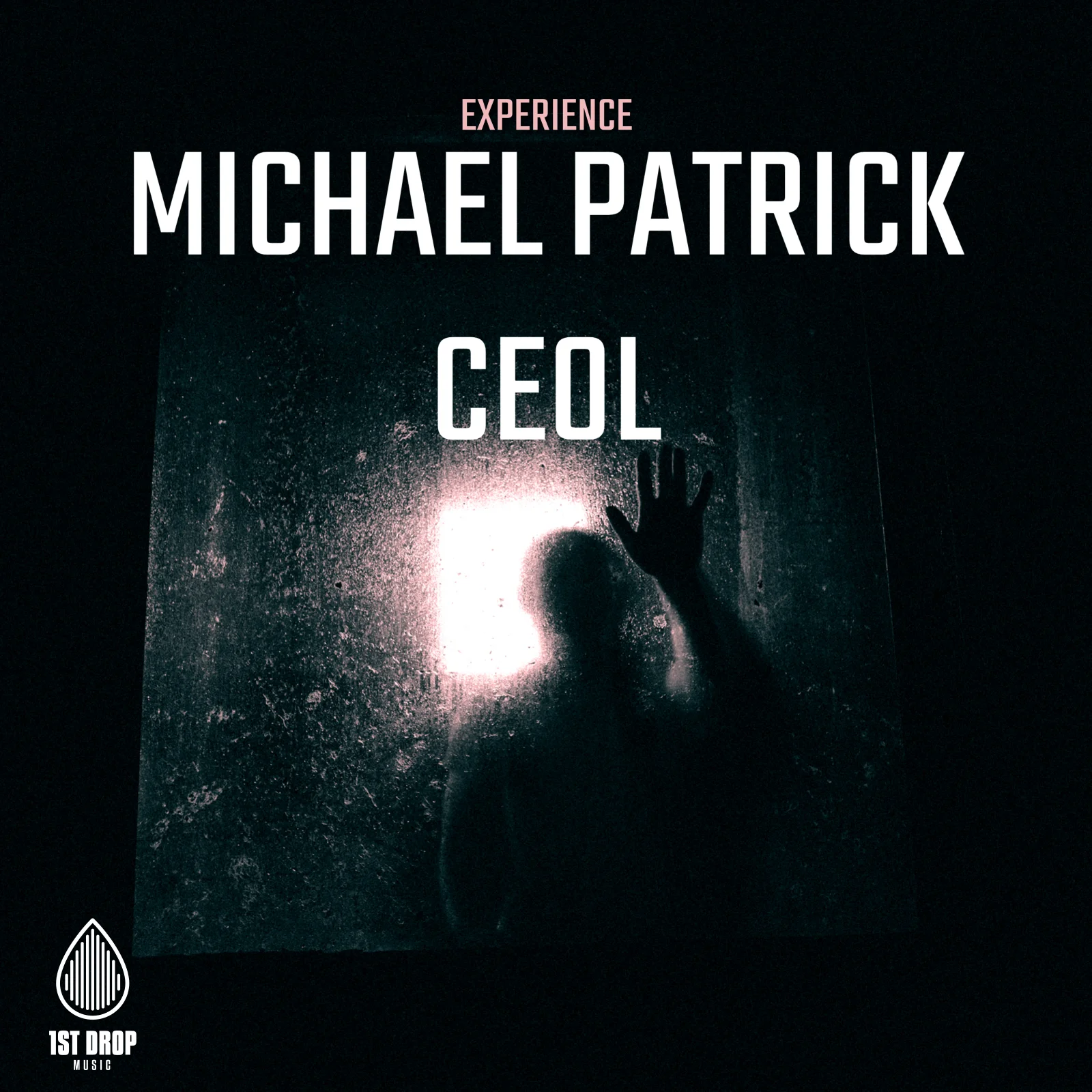 Experience Michael Patrick Ceol
