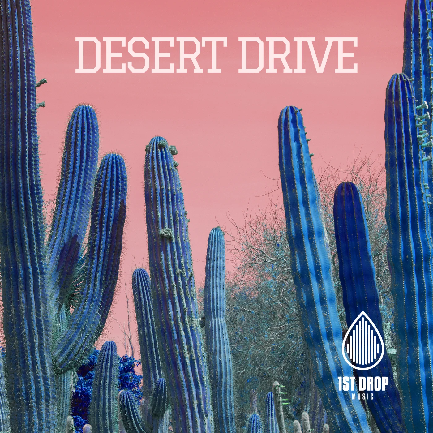 Desert Drive