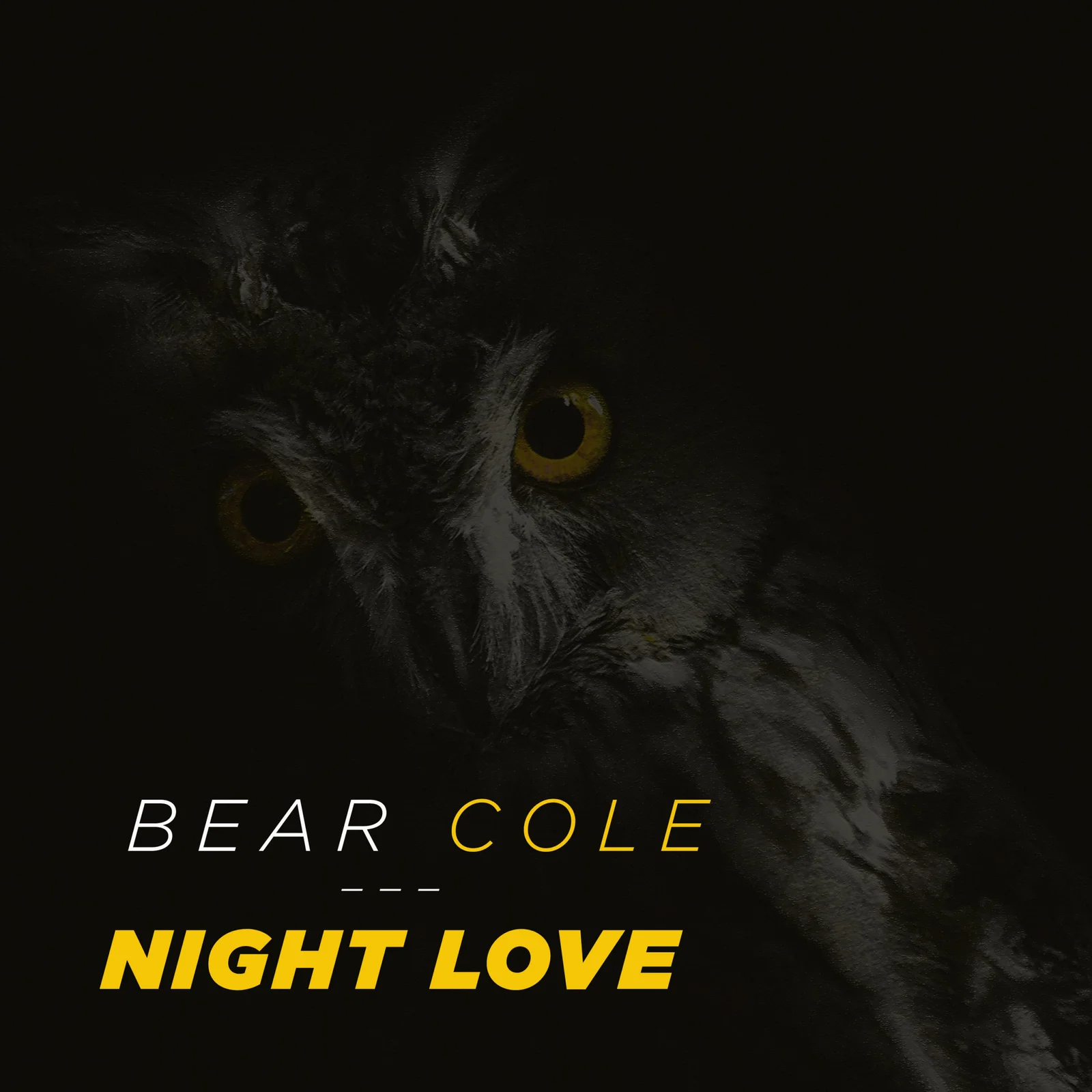 Night Love