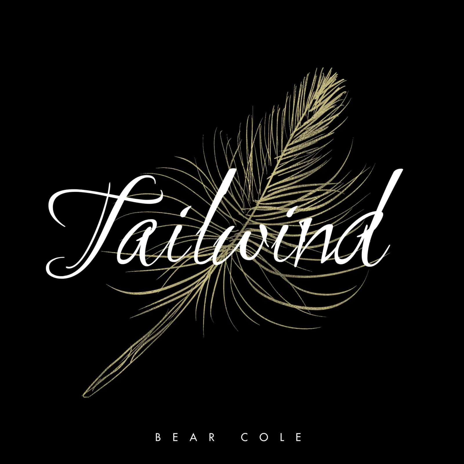 Tailwind — Primary image