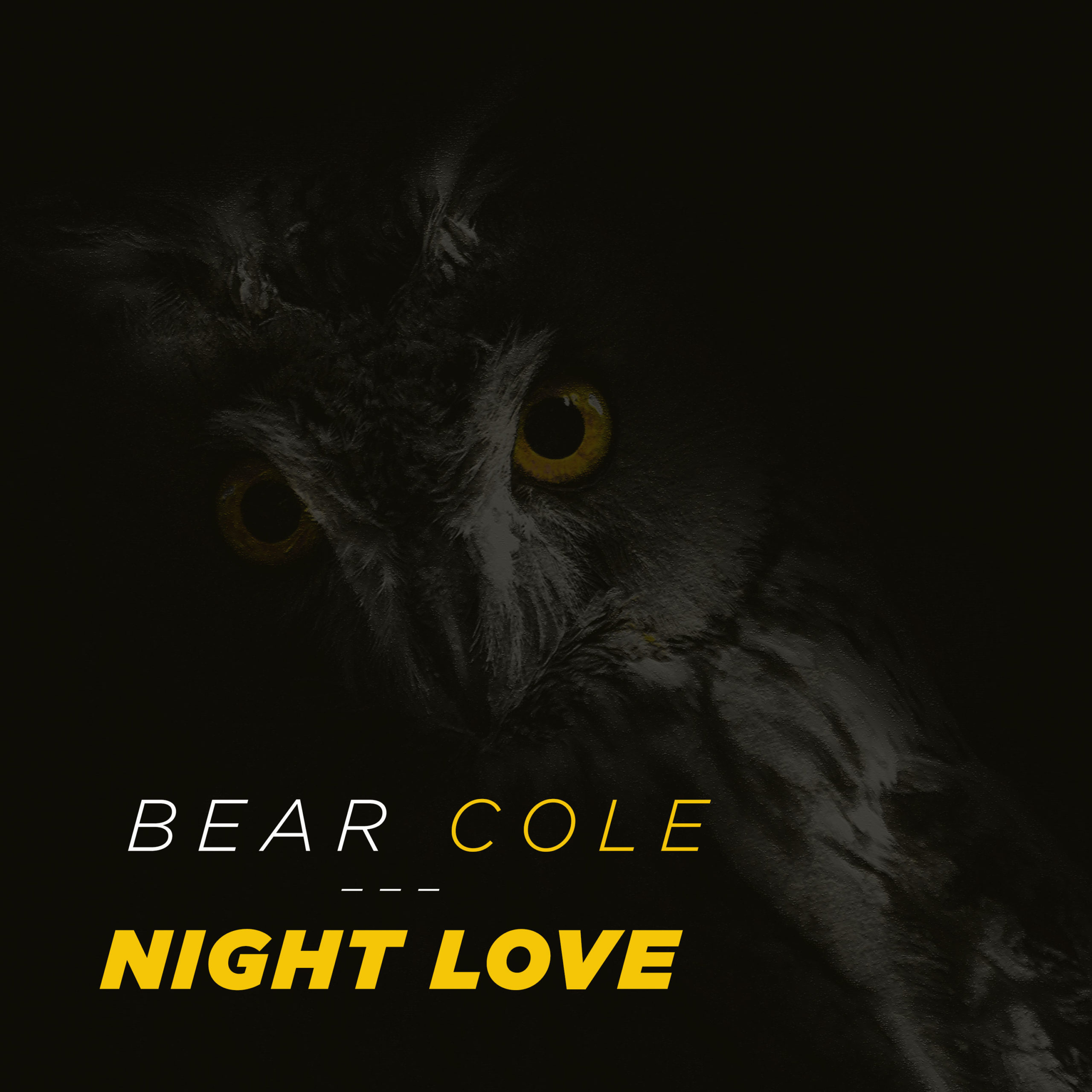 Bear-Cole-Night-Love-Album-Cover-3000