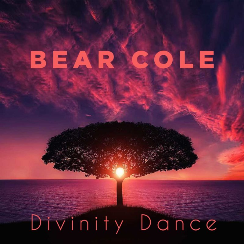 Divinity-Dance-Cover-Bear-Cole