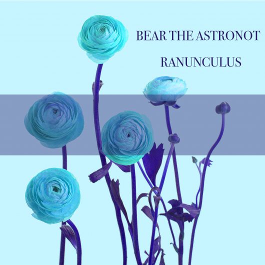 Ranunculus-album-cover-Bear-the-Astronot