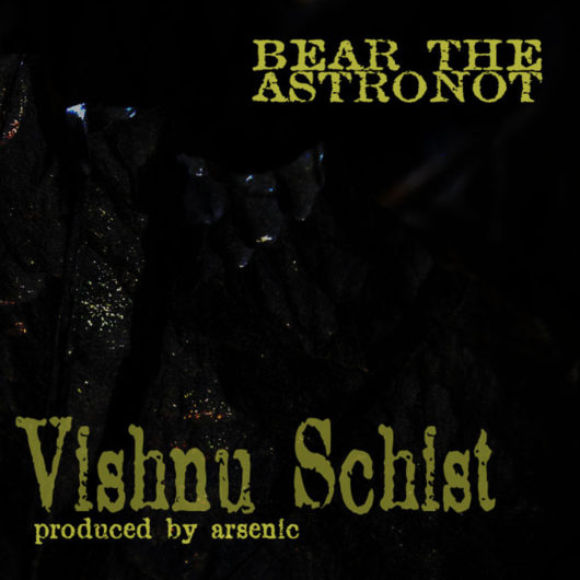 Vishnu-Schist-Albumn-Cover-3000