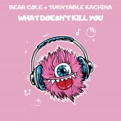 What Doesnt Kill You Album Cover Bear Cole and Turntable Kachina